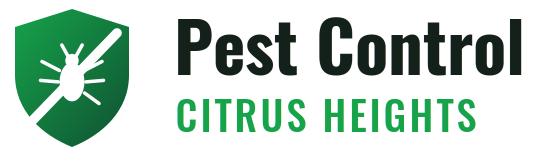 Citrus Heights Pest Control